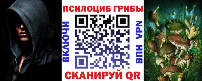Псилоцибиновые грибы Cubensis  Орехово-Зуево 